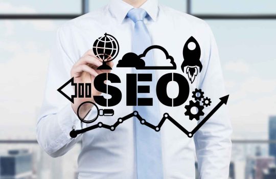 Organic SEO Company2